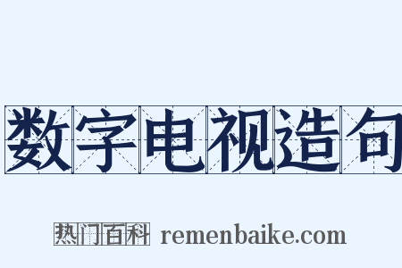 数字电视造句是什么意思的图片